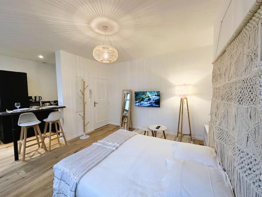 Spacious & Luxuary Studio Αμιάν Εξωτερικό φωτογραφία